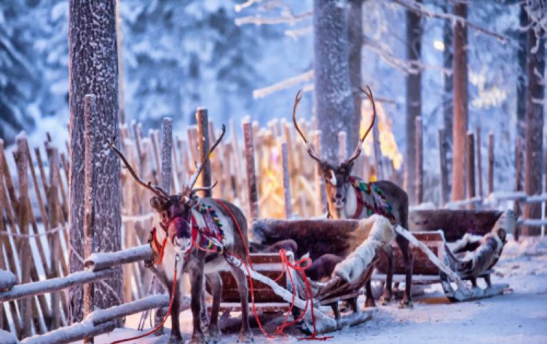 Lapland Offers 2