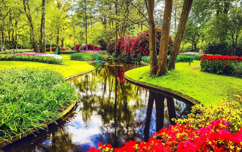 Spring Tulip River Cruise in the Netherlands