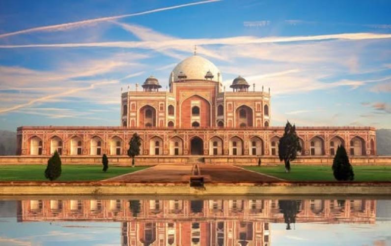 Taj, Tigers & Leopards - A Private Tour
