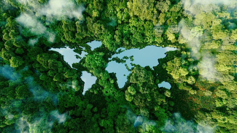 Leave Only Footprints - 10 Ways to Be a Responsible Tourist